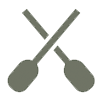 rapids icon